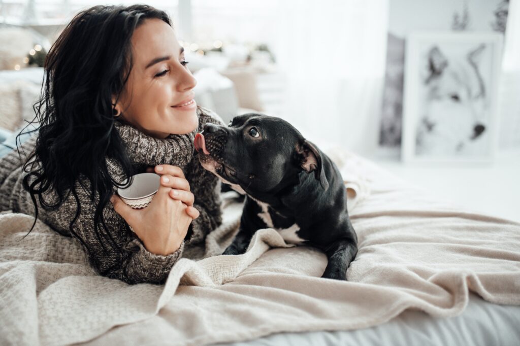 Pati-AI Nedir? PatimApp ile Evcil Hayvanınızın Tüm Sorularına Yapay Zeka Cevapları