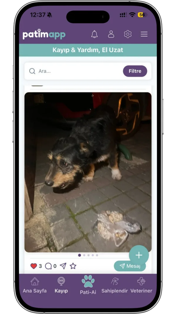 PatimApp uygulama ekranı